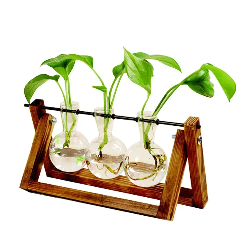 Tabletop Terrarium Hydroponic Vase 1